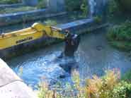 Clearing Nine Mile Creek